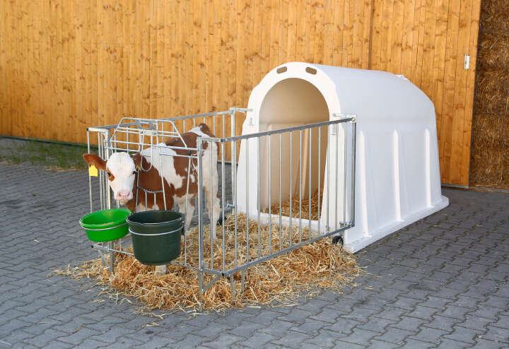 KERBL CalfHouse PE UV+ mit leichter Umzäunung